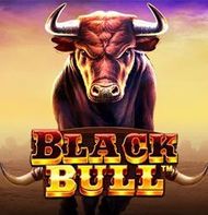 Black Bull