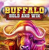 Buffalo Hold and Win