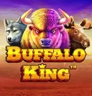 Buffalo King