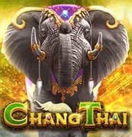 Chang Thai