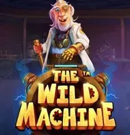 The Wild Machine