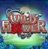 Wild Flower