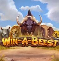 Win a Beest