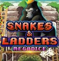 Snakes and Leddars