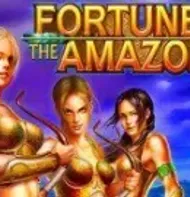Fortune of Amazon