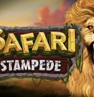 Safari Stampede