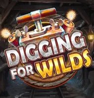 Digging for Wilds