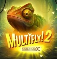 Multifly 2