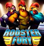 Rooster Fury