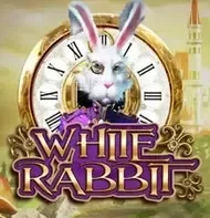 White Rabbit