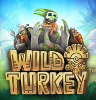 Wild Turkey