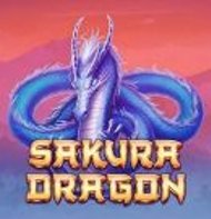 Sakura Dragon