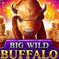 Big Wild Buffalo slot game