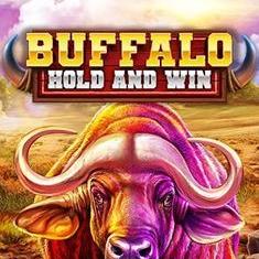 Buffalo Hold and Win slot game
