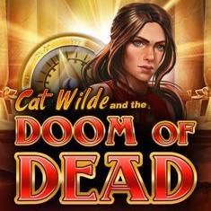 Cat Wilde slot game