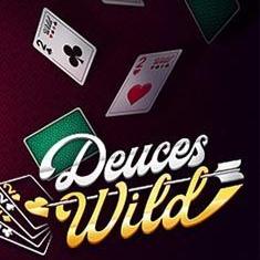 Deuces Wild slot game