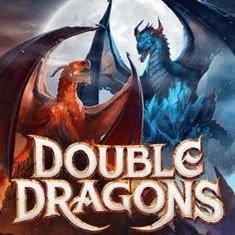 Double Dragons slot game