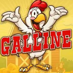 Galline slot game