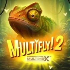 Multifly 2 slot game