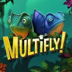 Multifly slot game