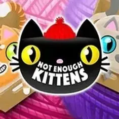 Not Enough Kittens