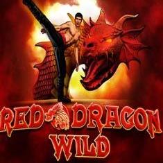 Red Dragon Wild slot game
