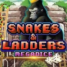 Snakes and Leddars slot game