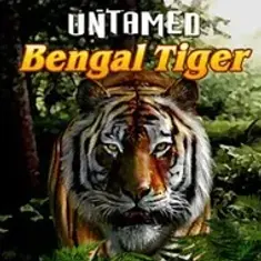 Bengal Tiger