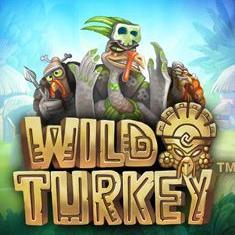 Wild Turkey slot game