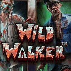 Wild Walker slot game