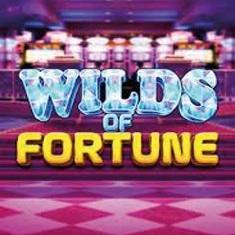 Wilds of Fortune slot game
