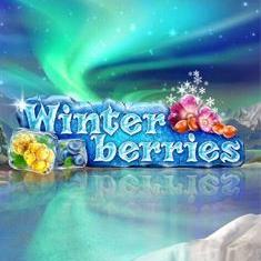 Winter Berries slot game