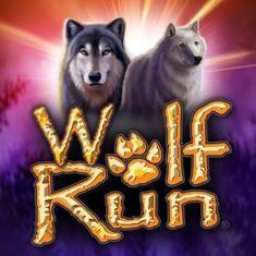 Wolf Run slot game