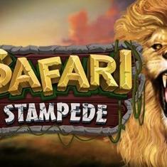 Safari Stampede slot game