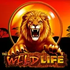 The Wild Life slot game