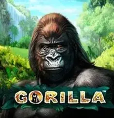 Gorilla slot