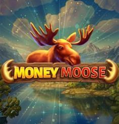 Money Moose slot
