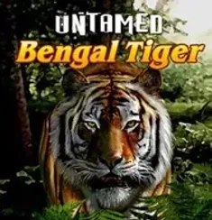 Bengal Tiger slot