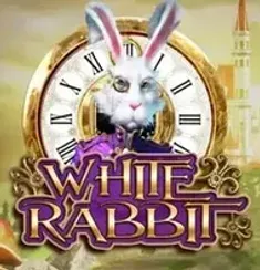 White Rabbit slot