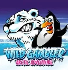 Wild Gambler Arctic slot