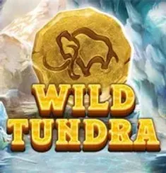Wild Tundra slot