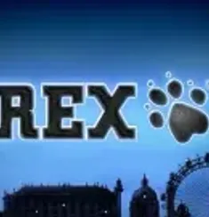 Rex slot