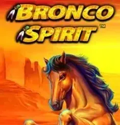 Bronco Spirit logo