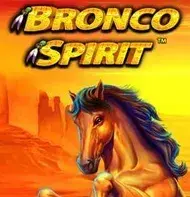 Bronco Spirit