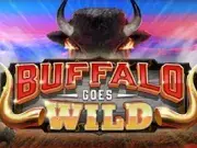 Buffalo Goes Wild