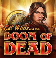 Cat Wilde slot game