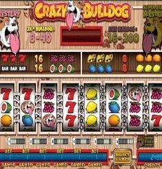 Crazy Bulldog slot game