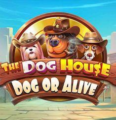 Dog or Alive slot game