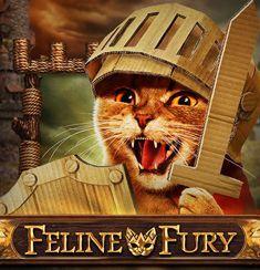 Feline Fury slot game