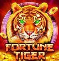 Fortune Tiger